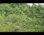 photo-005-005