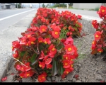 photo-016-001