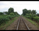photo-016-003