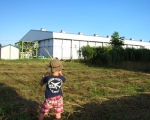photo-017-001