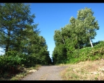 photo-017-002