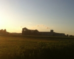 photo-018-003