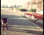 photo-018-005