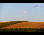 photo-019-001