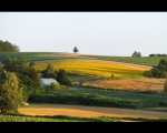 photo-019-002
