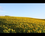 photo-019-005