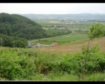 photo-019-006