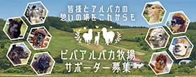 皆様とアルパカ達の憩いの場を、より快適な環境へ