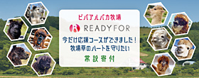 皆様とアルパカ達の憩いの場を、より快適な環境へ