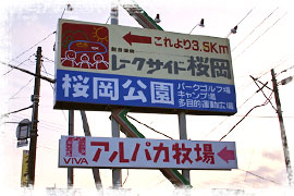 photo08 幸運をもたらすピンクの看板