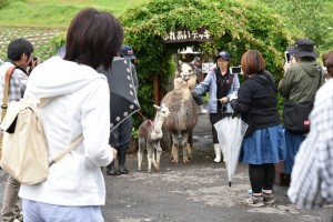 タビー＆ソラ