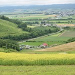 テラスからの町並み