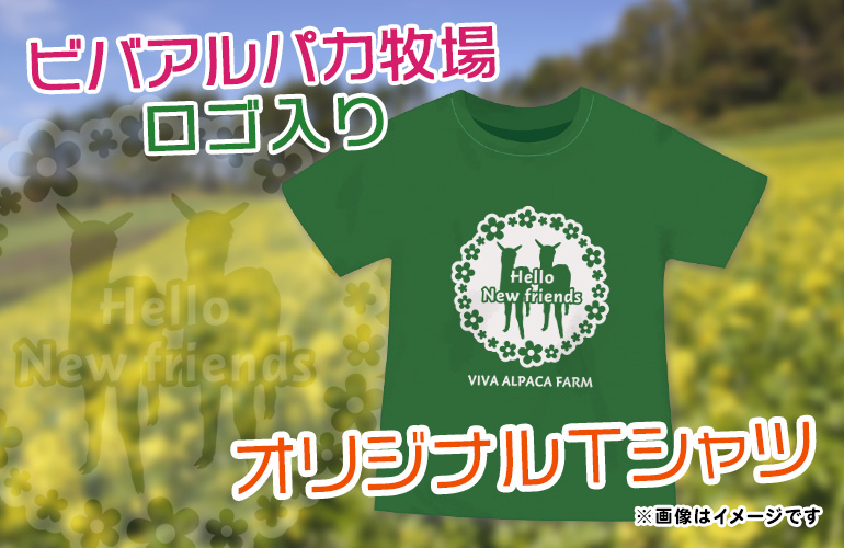 アルパカTシャツ